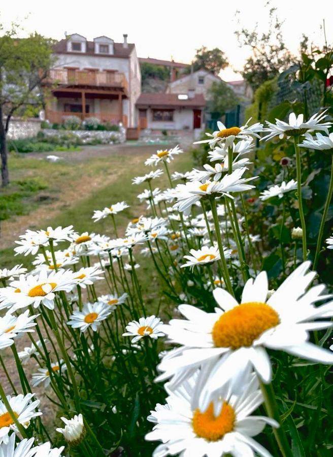 Alojamiento Gaia Aldeasona Εξωτερικό φωτογραφία
