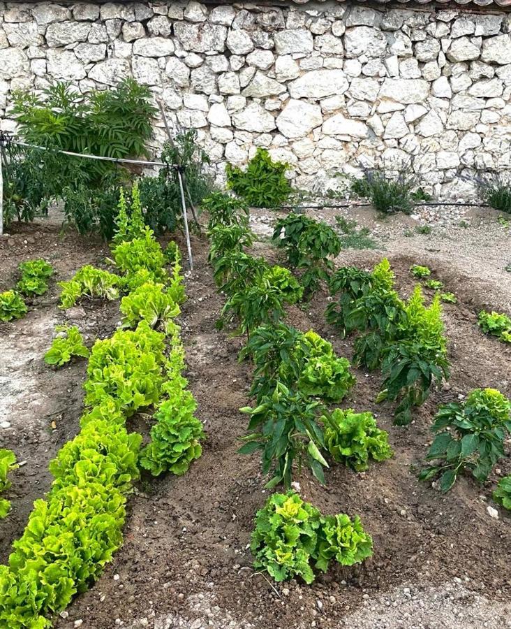 Alojamiento Gaia Aldeasona Εξωτερικό φωτογραφία